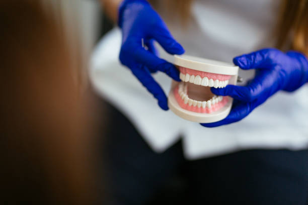 Professional  Holistic Dental Services in Westwood, PA